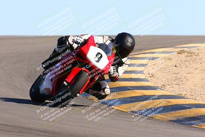 media/Feb-12-2022-SoCal Trackdays (Sat) [[3b21b94a56]]/Turn 12 (140pm)/